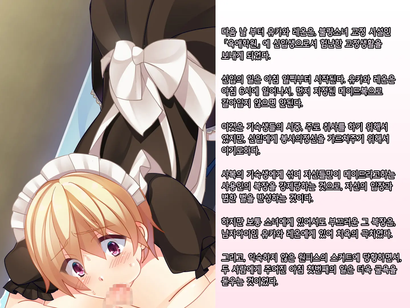 Skirt No Keibaku ~Furyou Shoujo Kyousei Shisetsu Nite Futanari Shoujo-Tachi Ni Josou Choukyou Sareru Furyou Shounen-Tachi~